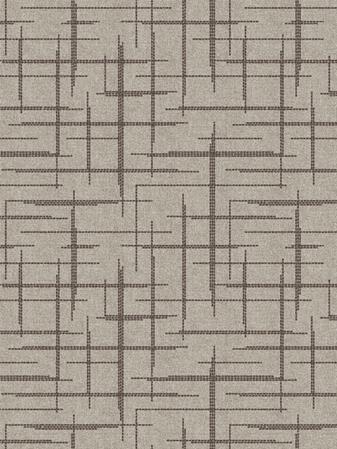 (QS) Erratic Path